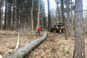 SUNY College of ESF using Cortland rope for logging